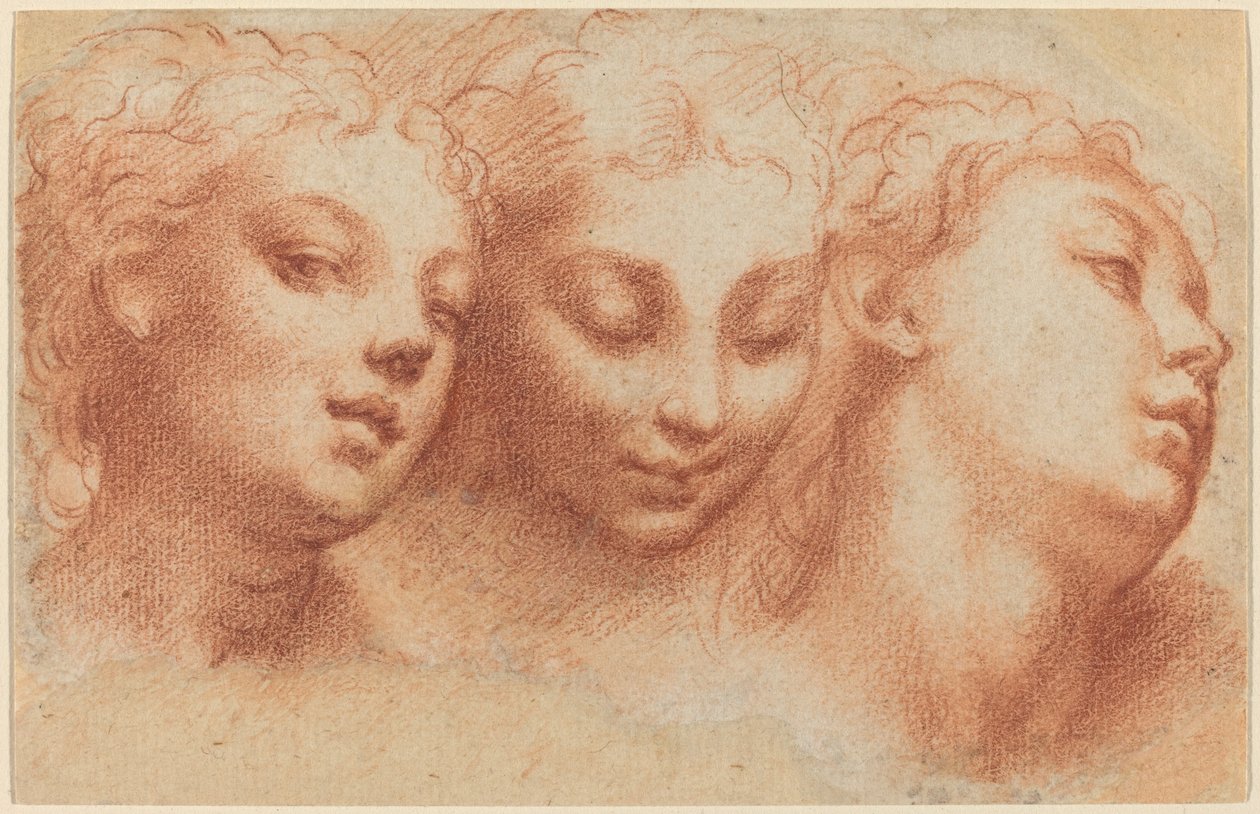 Tre feminine hoveder af Parmigianino