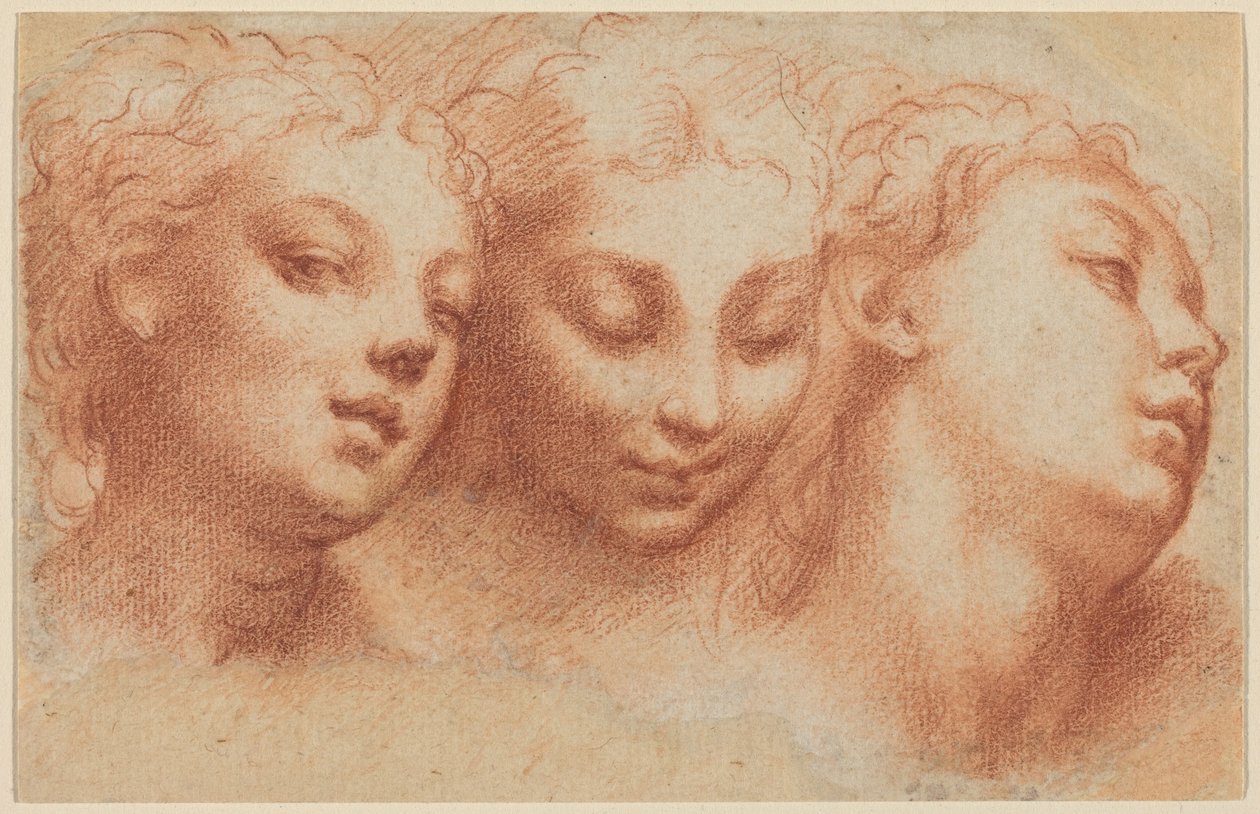 Tre kvindehoveder af Parmigianino