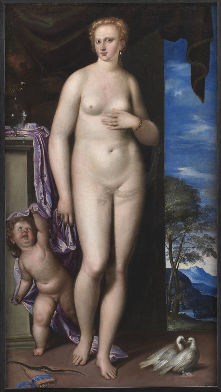 Venus og Amor af Parrasio Micheli
