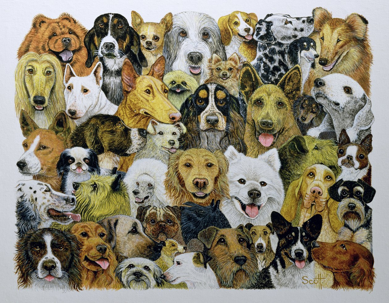 Dog Friends (olie på lærred) af Pat Scott