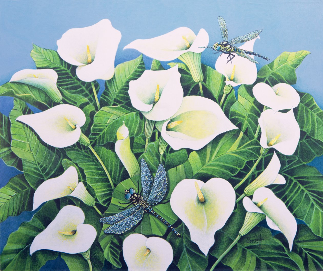 Dragon Flies (olie på lærred) af Pat Scott