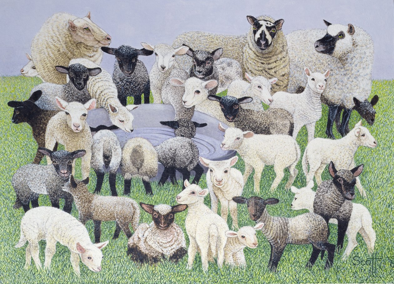 Feeling Sheepish (olie på lærred) af Pat Scott