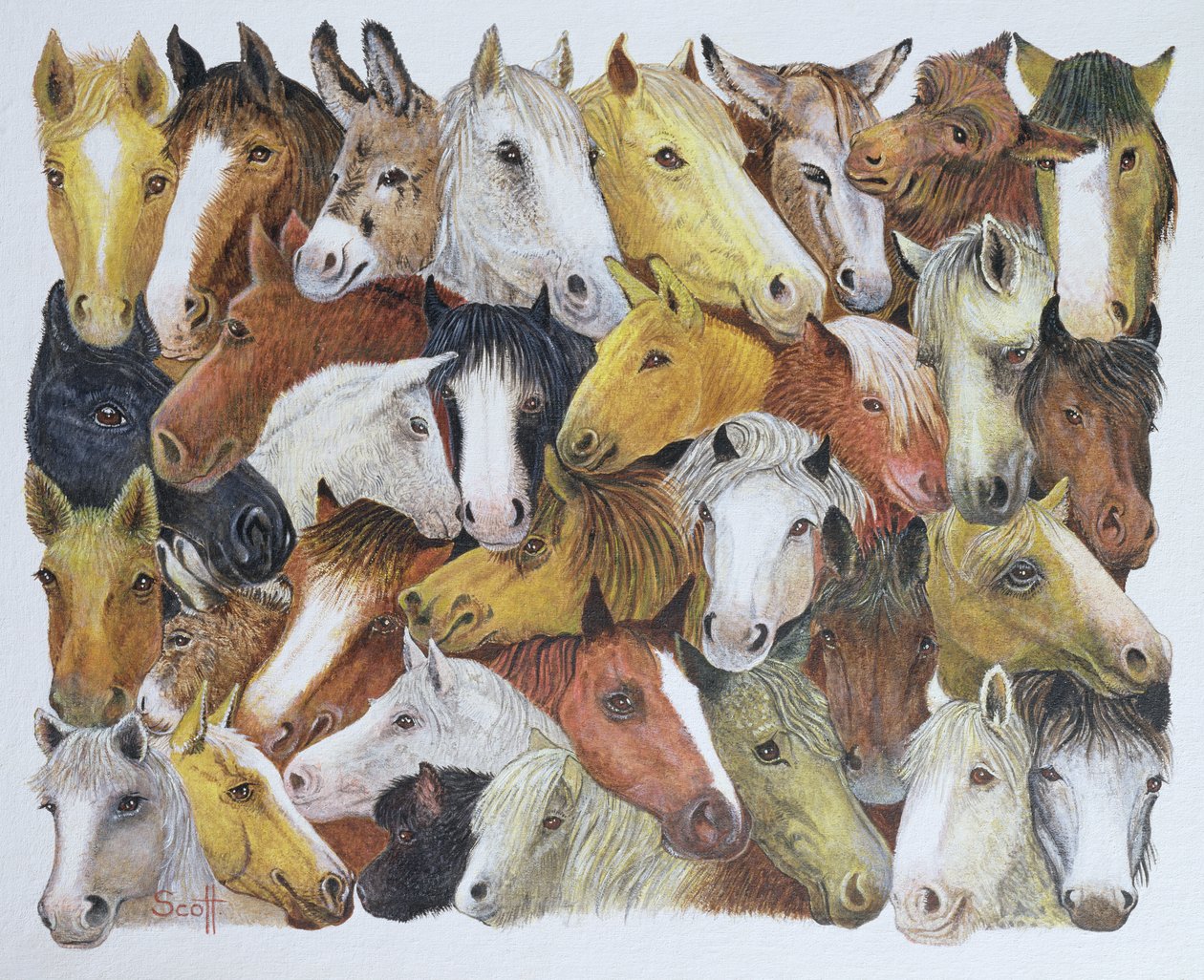 Horses Horses (olie på lærred) af Pat Scott