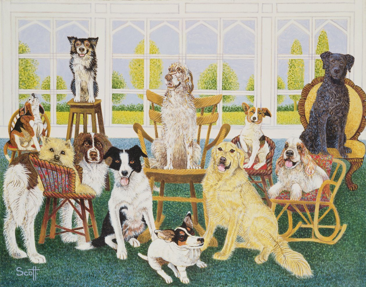 I hundehuset af Pat Scott