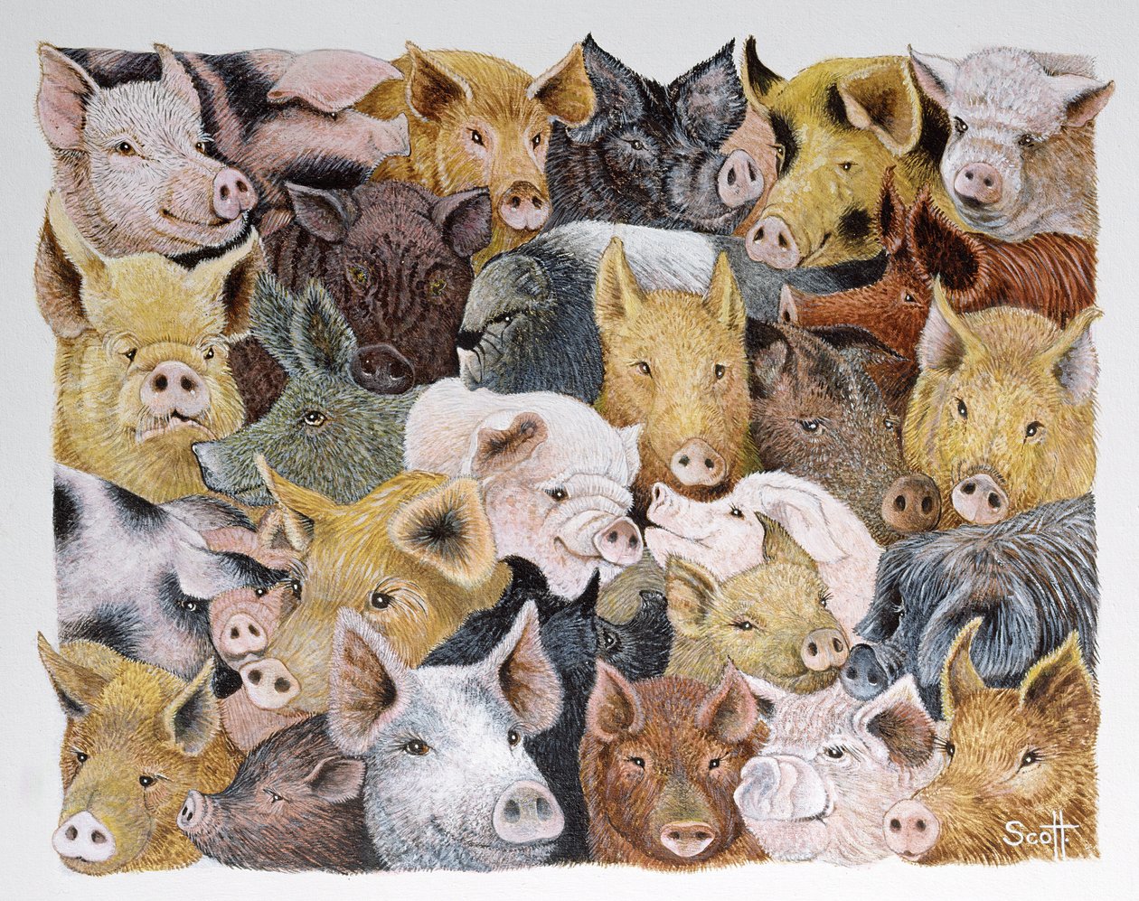 Pigs Galore (akryl på calico) af Pat Scott