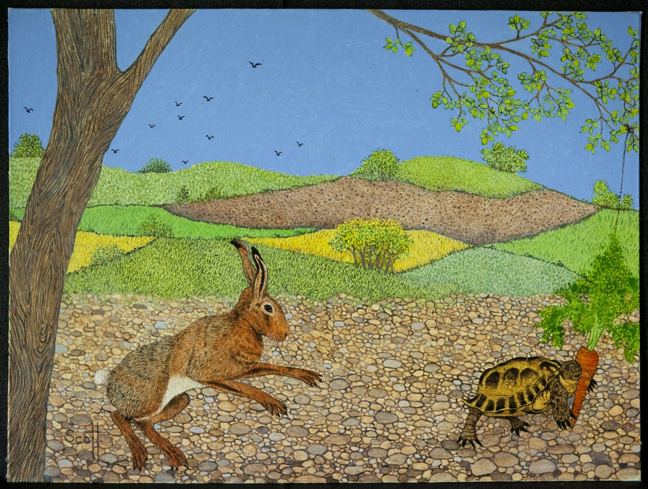Skildpadde og hare af Pat Scott