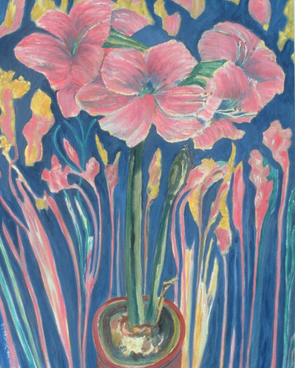 Amarylis (olie på linned) af Patricia Contemporary Artist Eyre