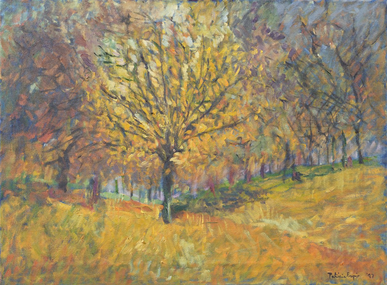 november i Hyde Park, 1997 af Patricia Espir