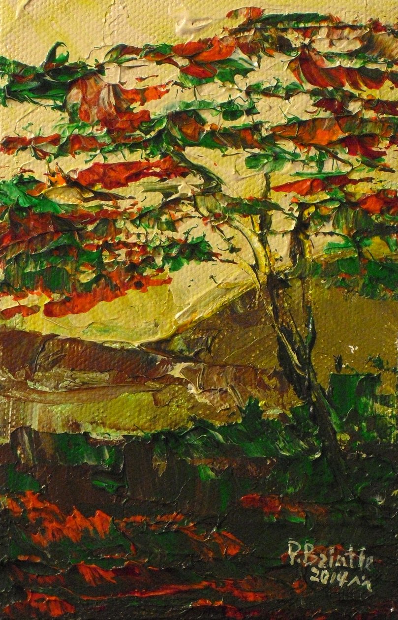 Flamboyant i blomst, 2014 (akryl på lærred) af Patricia Brintle