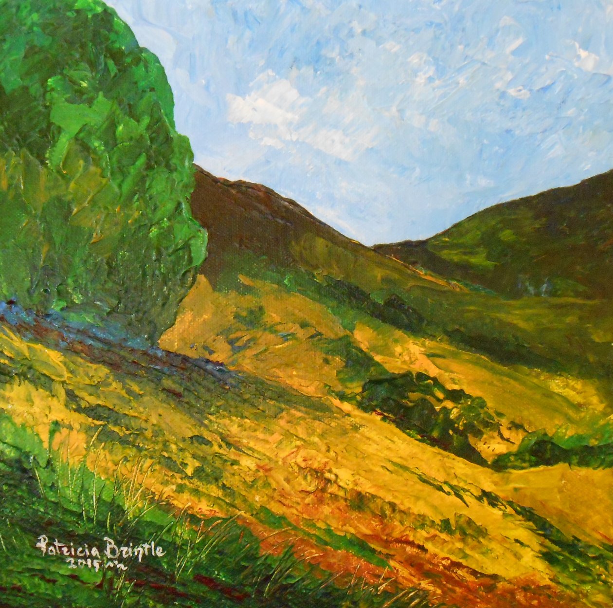 Morne La Selle, 2015 (akryl på lærred) af Patricia Brintle