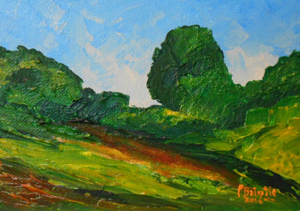 Plaisance surrounding, 2016 (akryl på kunstnertavle) af Patricia Brintle