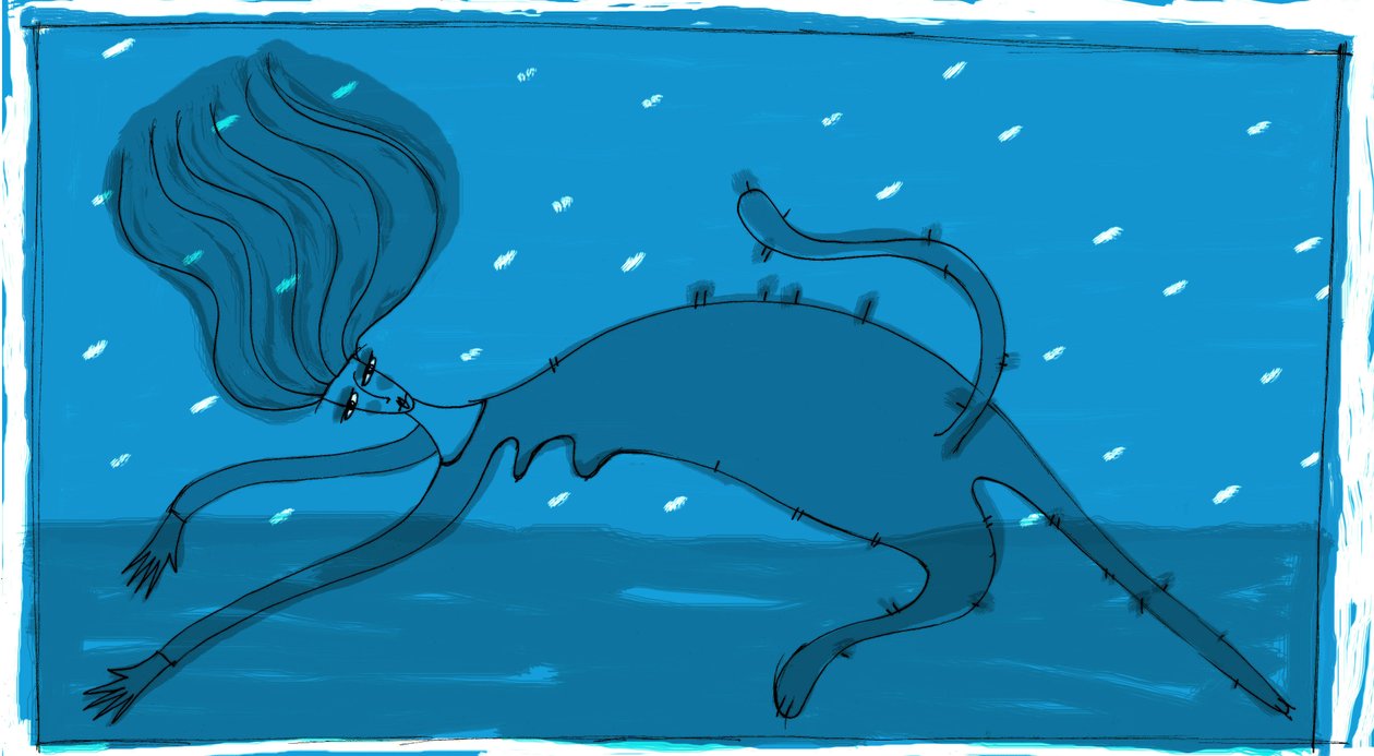 Strega del Tchesal (Chiesale): heks, der forvandler sig til en kat for at udspionere mænd. Illustration af Patrizia La Porta. af Patrizia La Porta