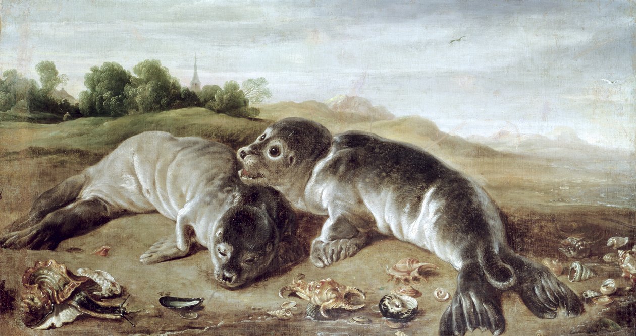 To unge sæler på kysten, ca. 1650 af Paul De Vos