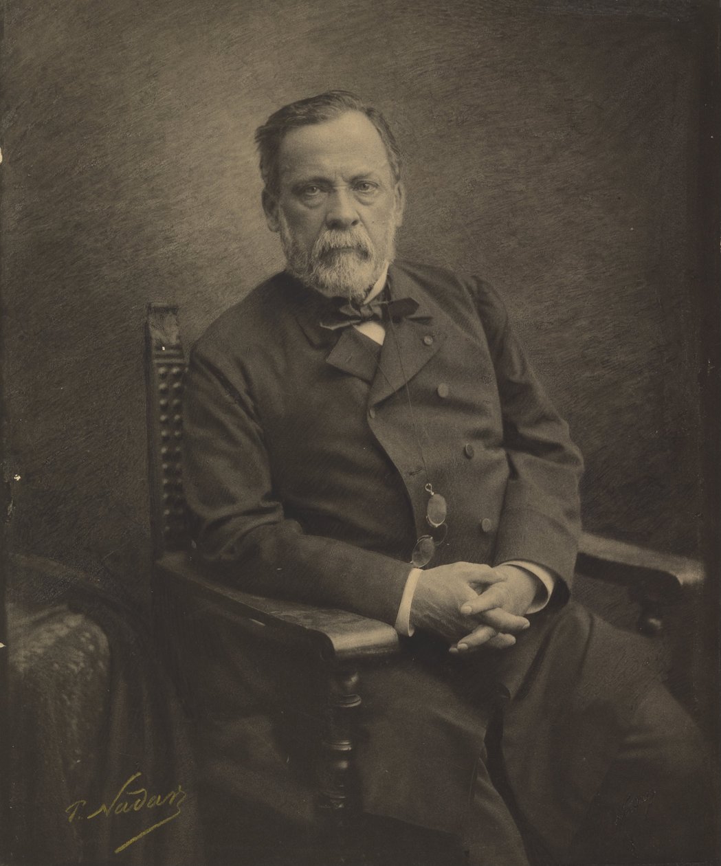(Louis Pasteur) af Paul Nadar
