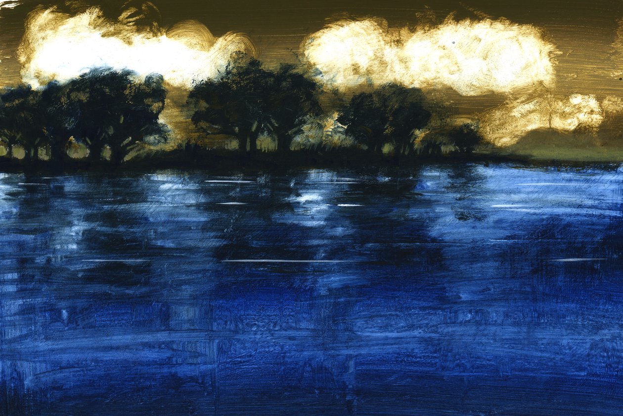 Flood, 2009 (akryl om bord) af Paul Powis