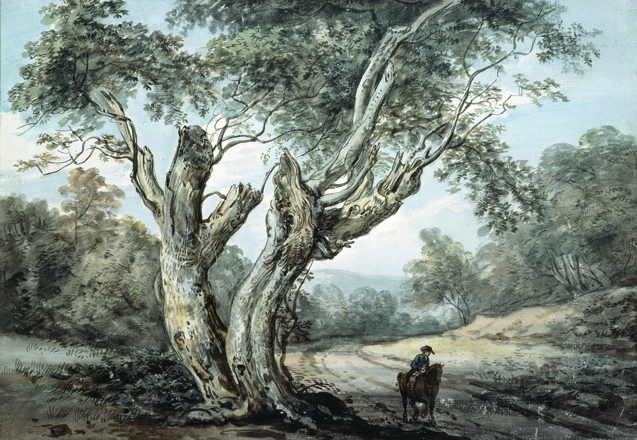En vej gennem Windsor Forest (akvarel) af Paul Sandby