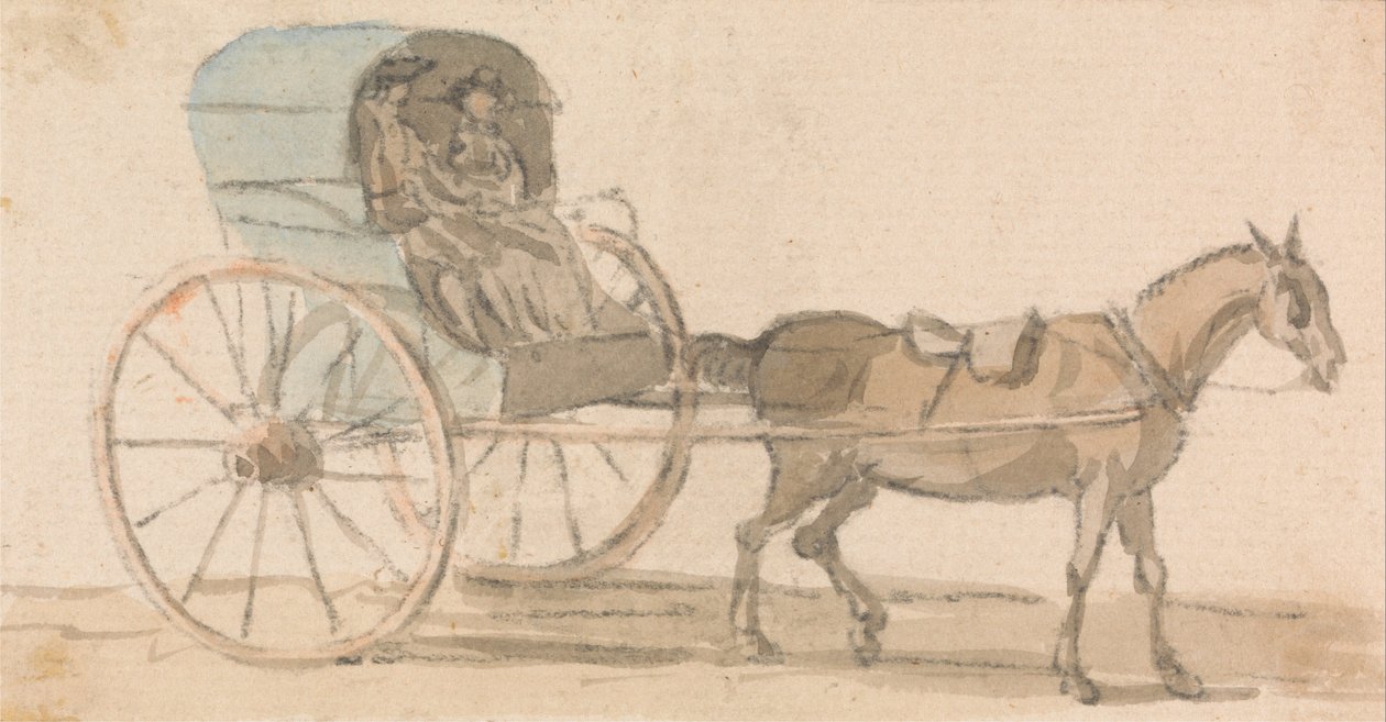 Pony og hættetrøje af Paul Sandby