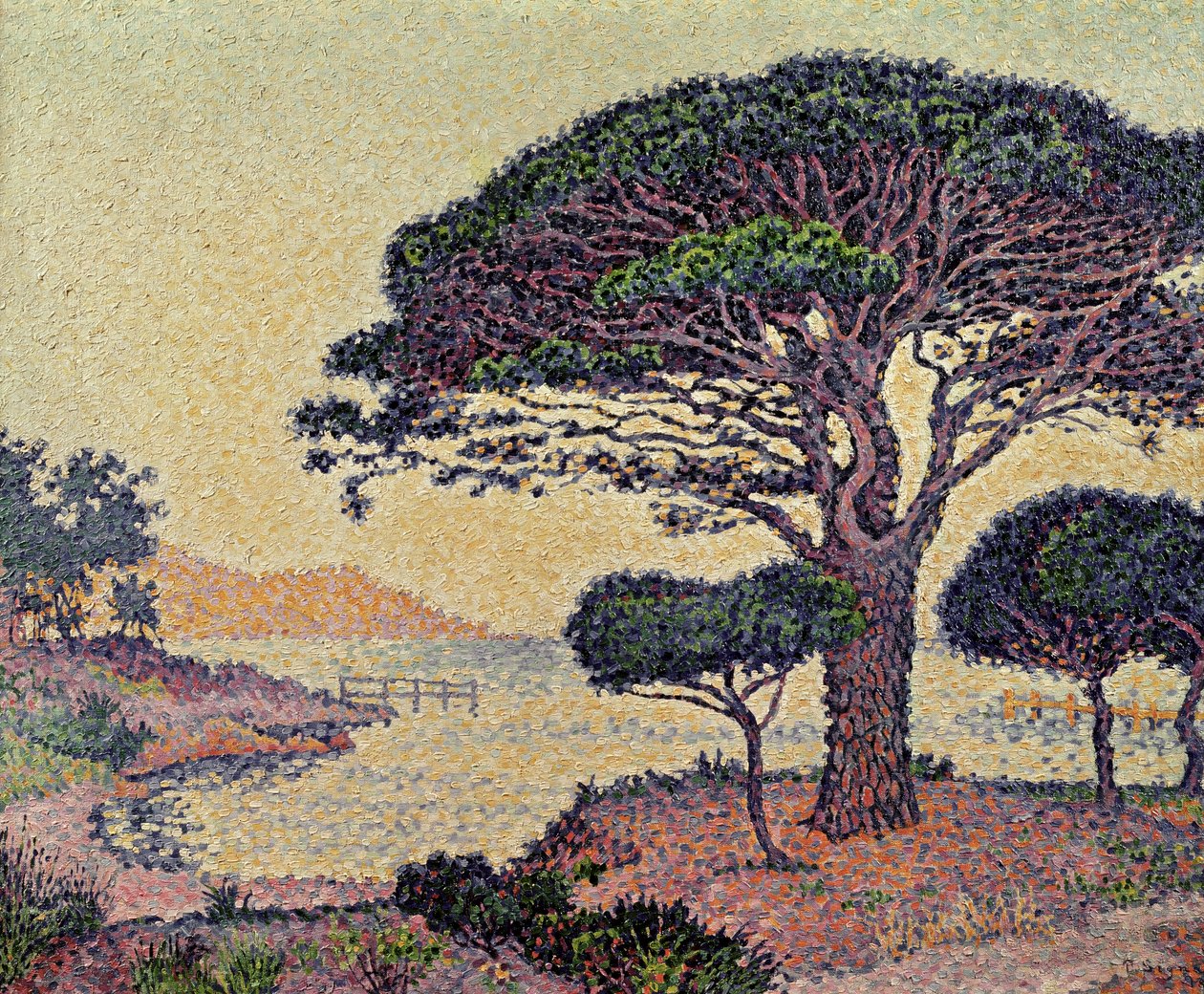 Paraply Pines at Caroubiers, 1898 af Paul Signac
