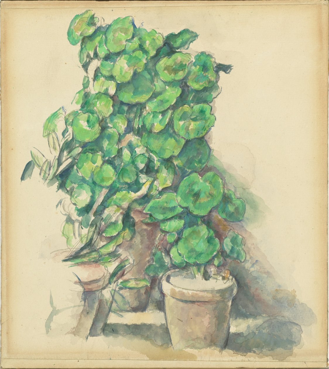 Geranier af Paul Cézanne