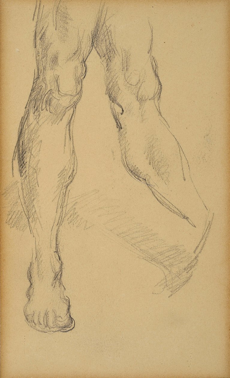 Benstudie. Tegning af Paul Cezanne (1839-1906). Bly på papir. Mål: 19,4x11,8cm. Musee Granet, Aix En Provence. af Paul Cézanne