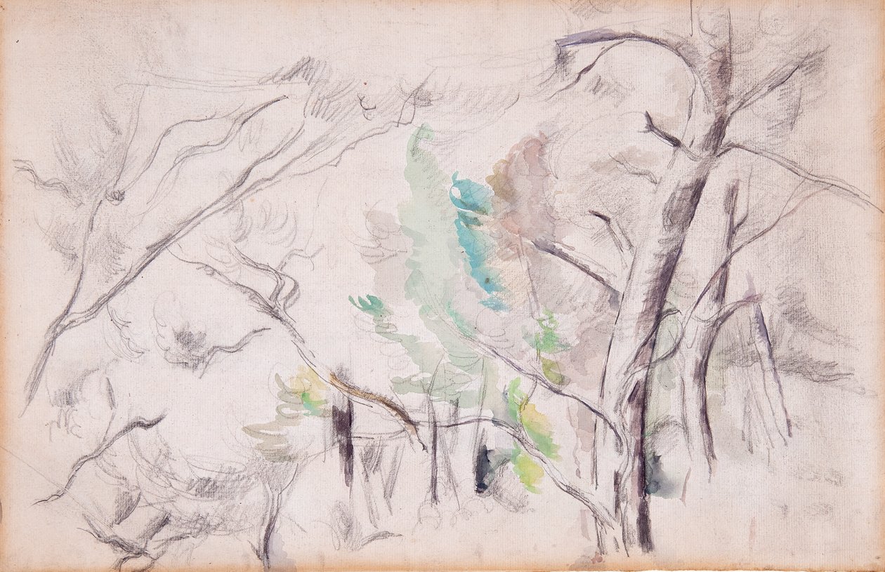 Træer [recto]; Encagnane med Pilon du Roi [tilbage] af Paul Cézanne