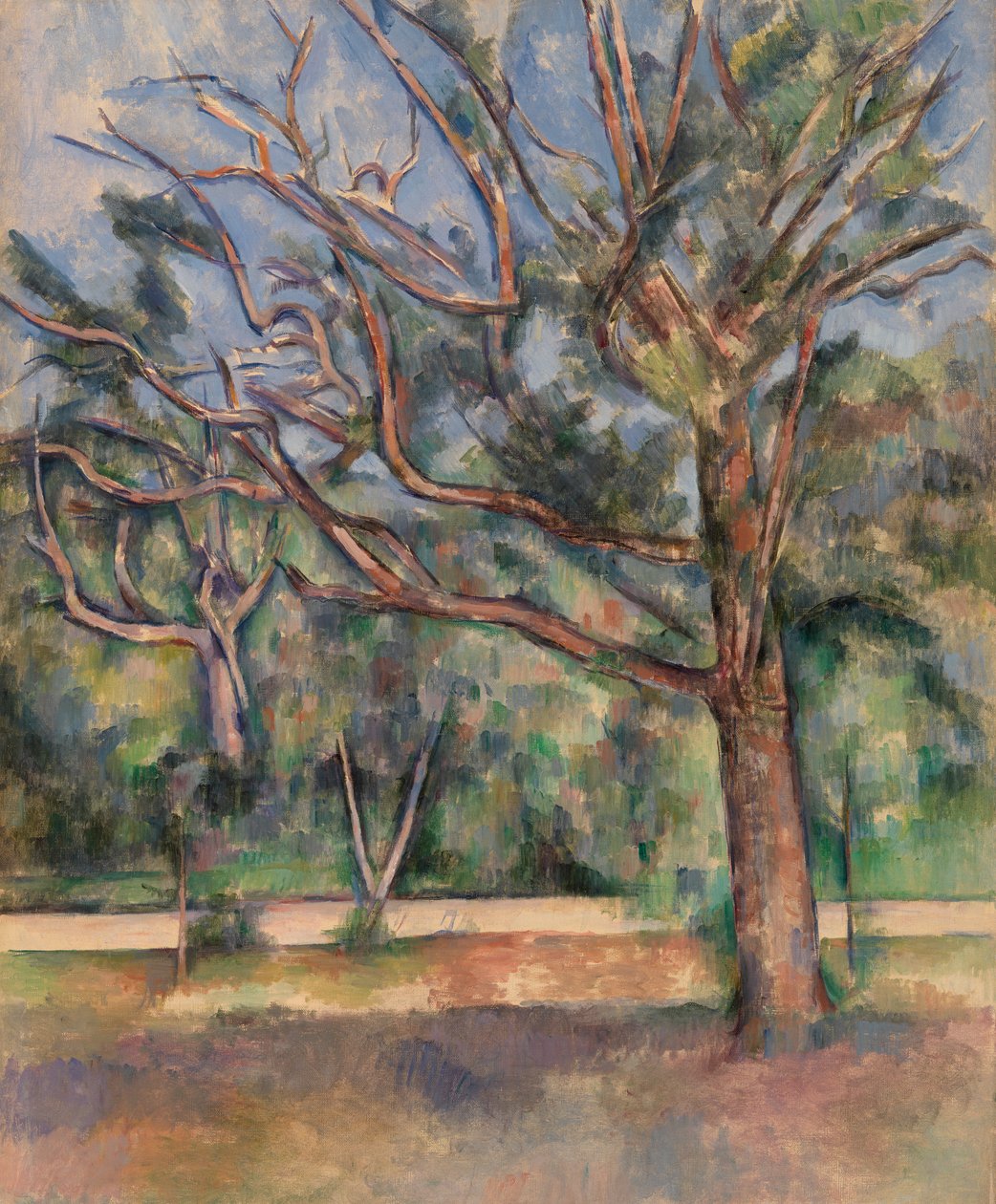Træer og veje (Arbres et route) af Paul Cézanne