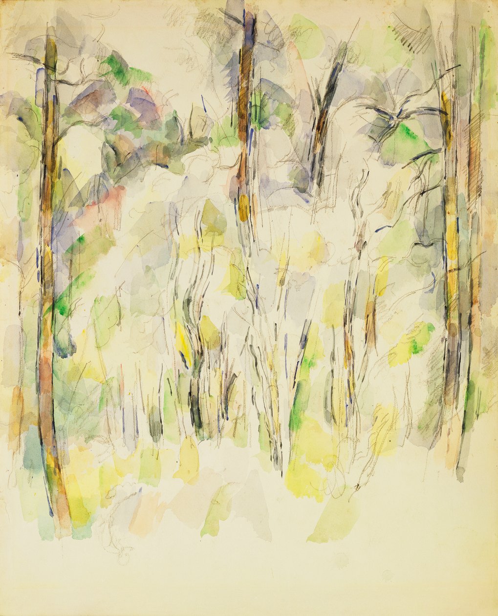 Skovscene, ca. 1900-1904 af Paul Cézanne