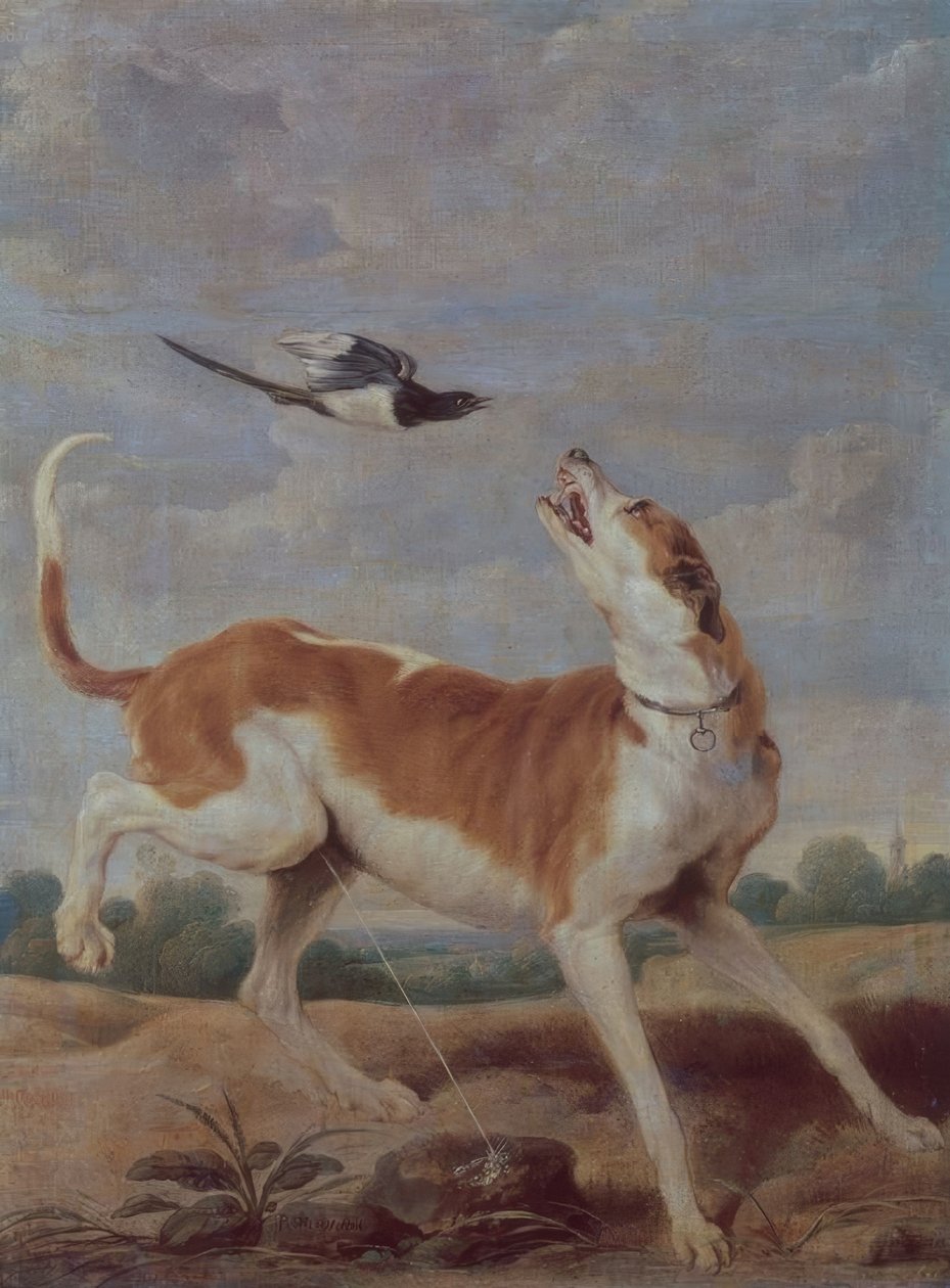 El perro y la picaza