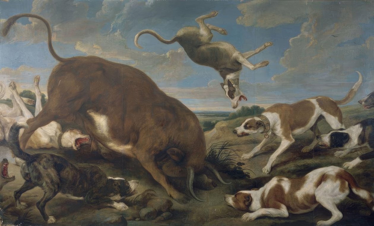 TYRE ANGRET AF HUNDE - 17. ÅRHUNDREDE - LÆRD 210 × 346 cm - BAROK FLAMENCO af Paul De Vos