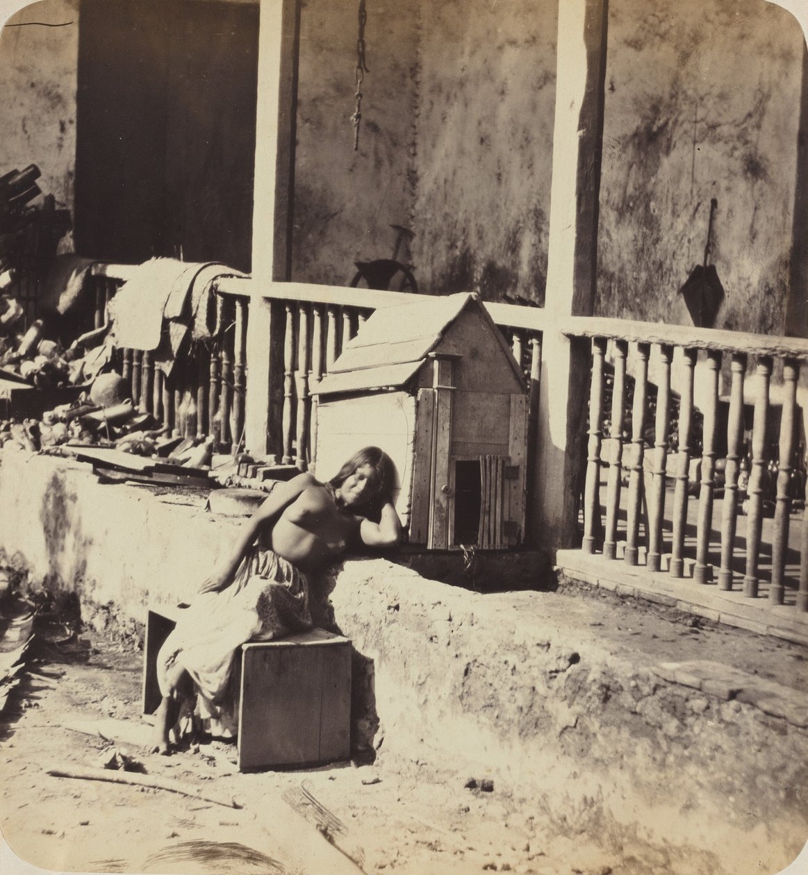Hund fra Garvel (Martinique), 1870