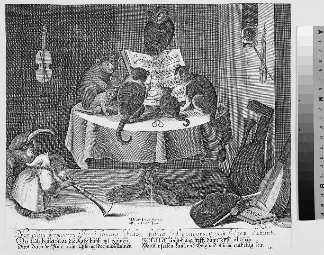 Koncert af ugle, katte og aber af Paul Fürst