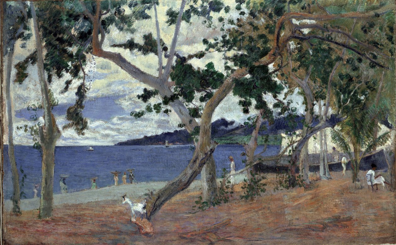 Ved kysten, Martinique par Gauguin, Paul Eugene Henri (1848-1903). Olie på lærred, størrelse: 54x90 af Paul Gauguin