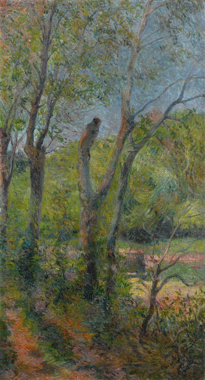 Fransk:  Les Saules piletræer af Paul Gauguin