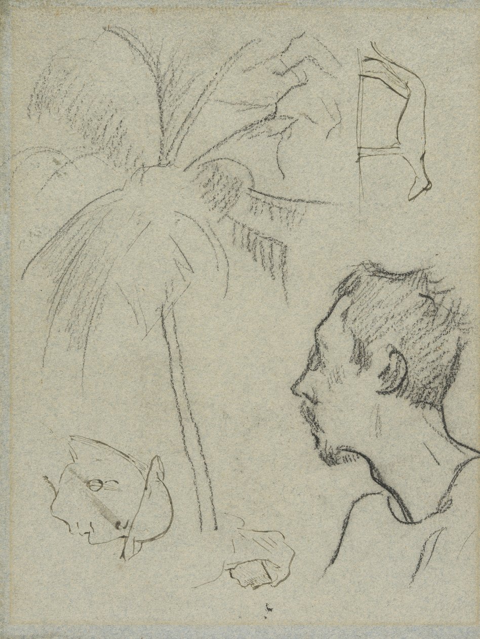 Profil af Charles Laval med palmetræ og andre skitser af Paul Gauguin
