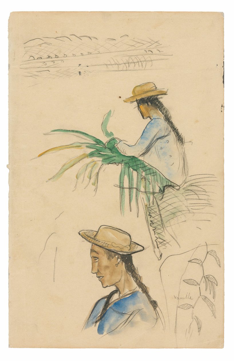Skitser af figurer, Pandanus-blad og vaniljeplante af Paul Gauguin