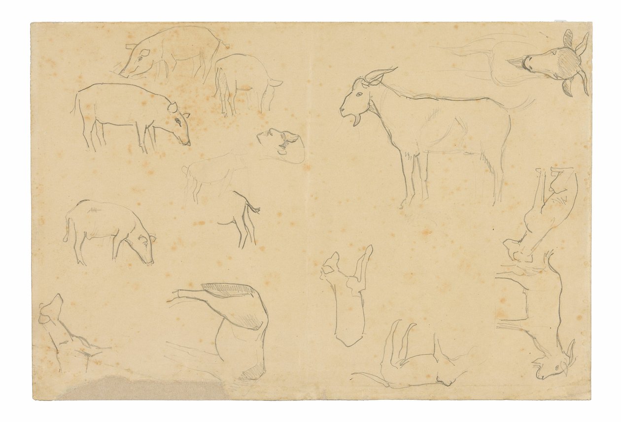 Skitser af forskellige dyr og et hoved (recto), skitser af et hoved, en figur i profil, anatomiske detaljer og dyr (verso) af Paul Gauguin