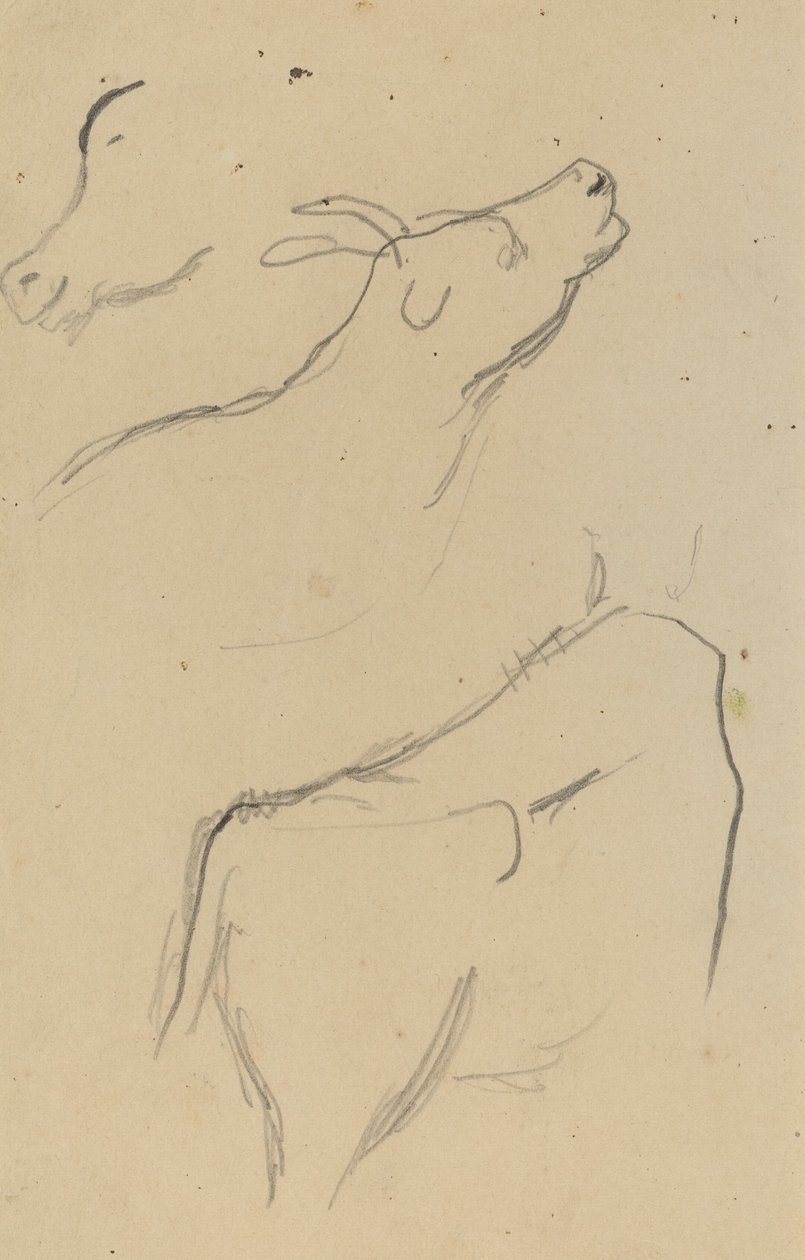 Studier af en ko [verso] af Paul Gauguin