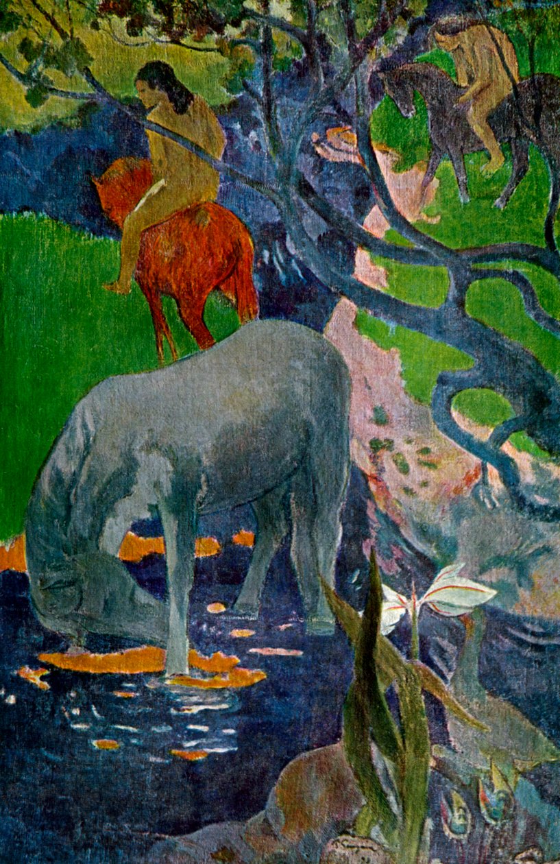 Den hvide hest, 1898 1939. af Paul Gauguin