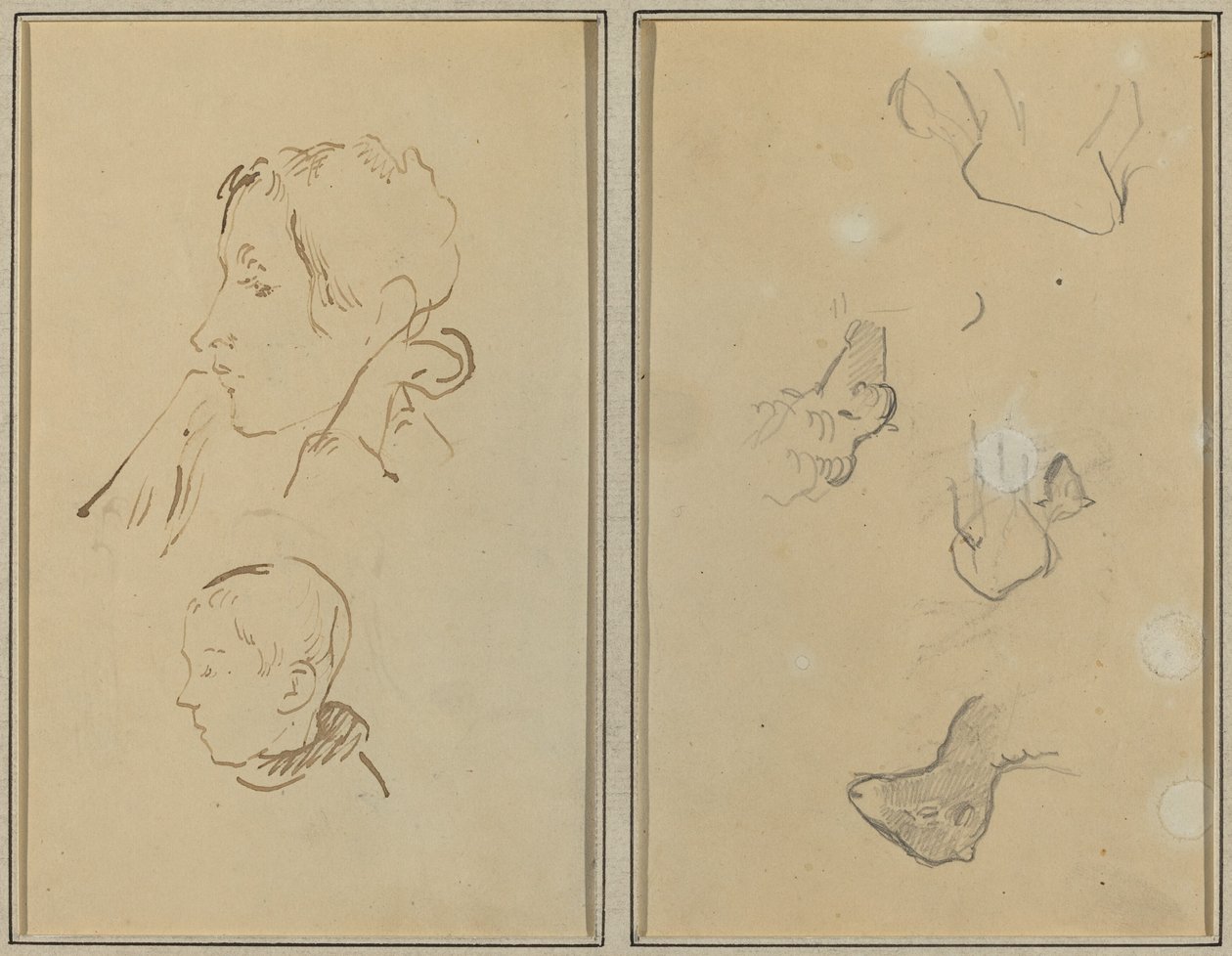 To Hoveder; Studier af får [recto] af Paul Gauguin