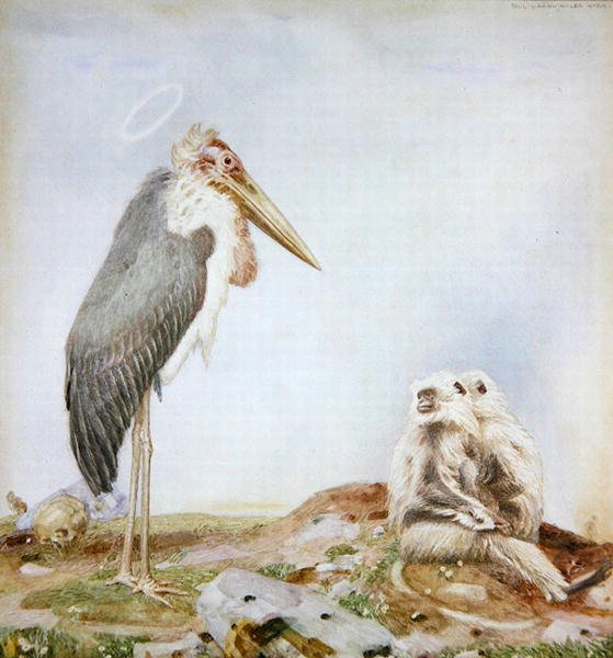 Holy Marabou (akvarel og blyant på papir) af Paul Grabwinkler