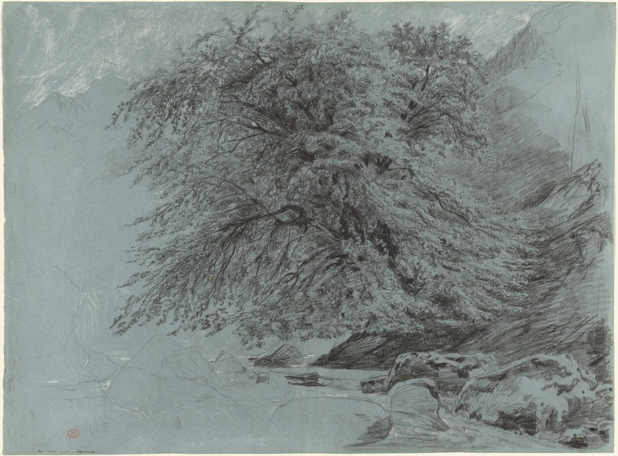 En vild bøg i fuldt løv af Paul Huet