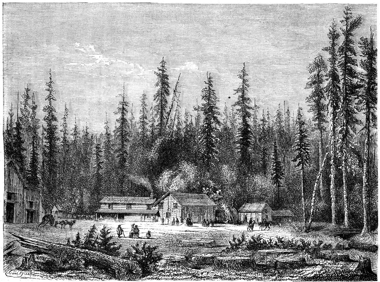 Kæmpe sequoia-skov, Californien, 1800-tallet. af Paul Huet