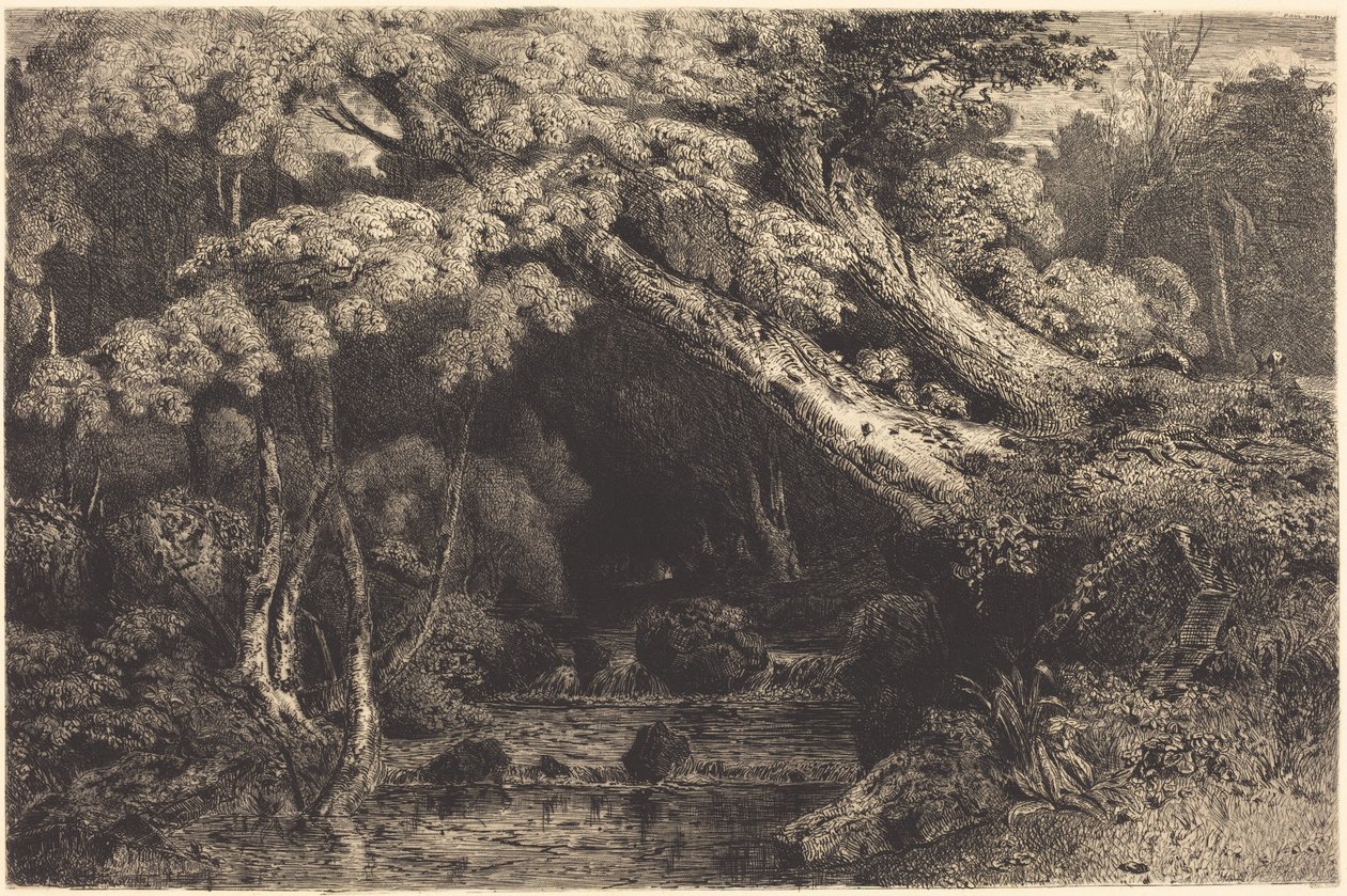 Saint-Pierre-bækken nær Pierrefonds (Ruisseau de Saint-Pierre, nær Pierrefonds) af Paul Huet