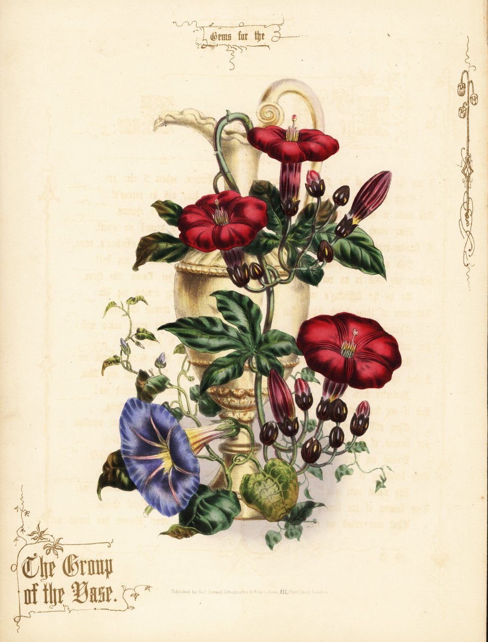 Buket af skarlagenrød ipomoea og blå morgenfrue med vase. af Paul Jerrard