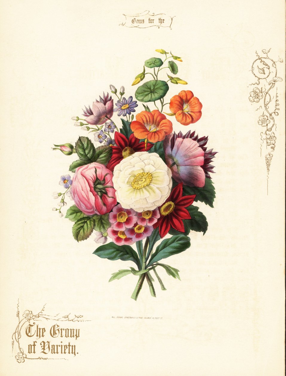 Buket af hvid rose, dahlia, nasturtium, auricula. af Paul Jerrard