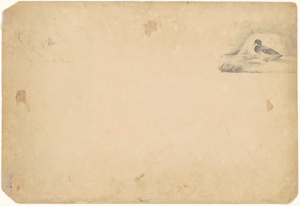 En and og en kronhjort [verso] af Paul Lacroix