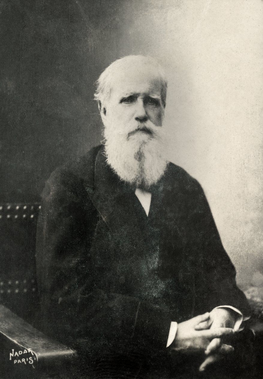  af Paul Nadar