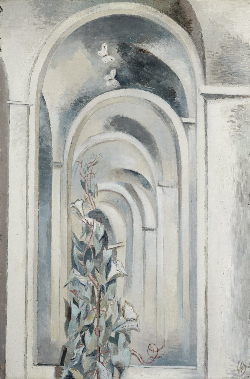 Convolvulus af Paul Nash