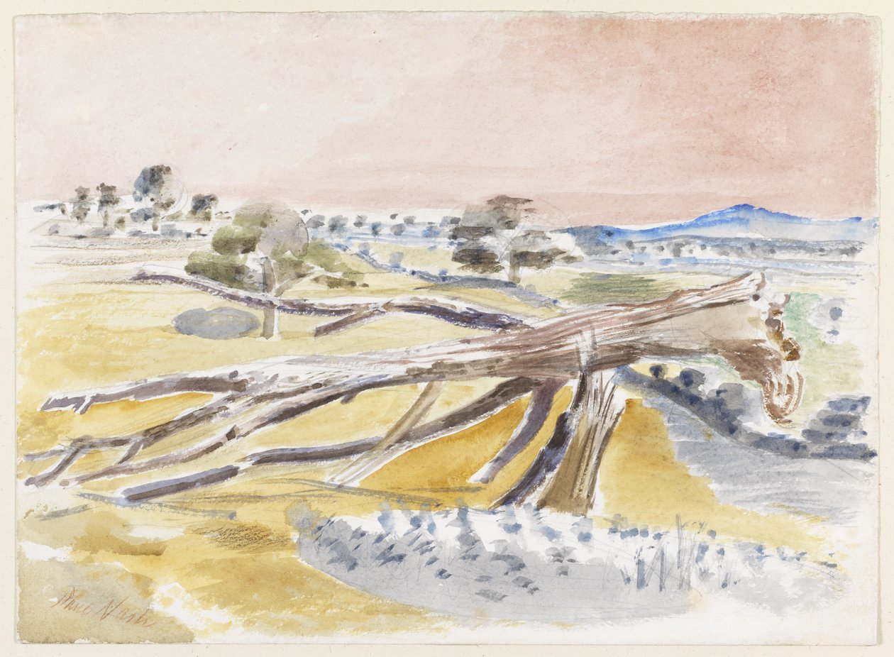 Monstermark, studie II af Paul Nash