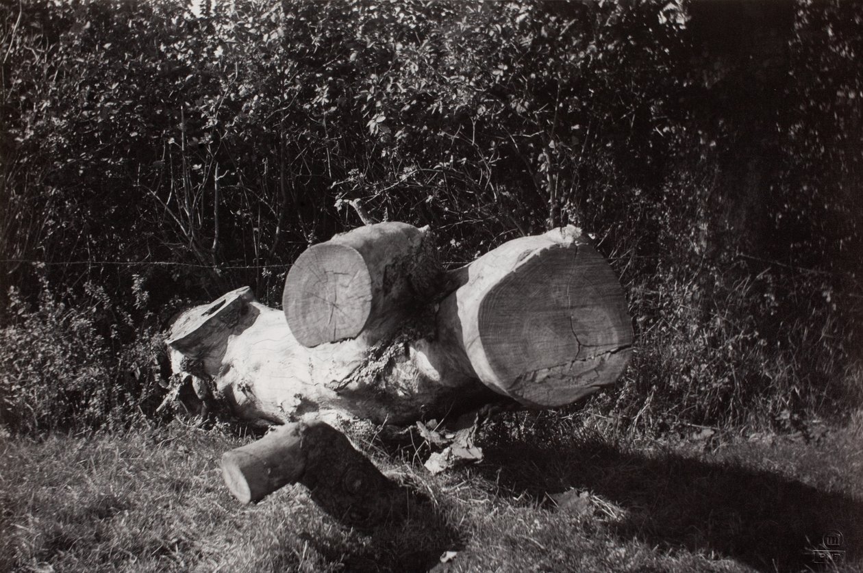 Find et objekt af Paul Nash
